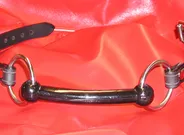 Pony Bit Gag